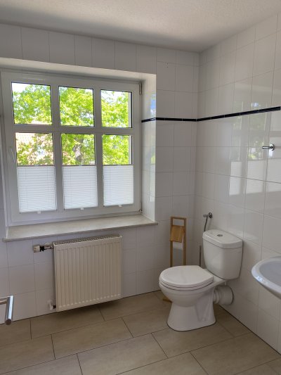Galeriebild