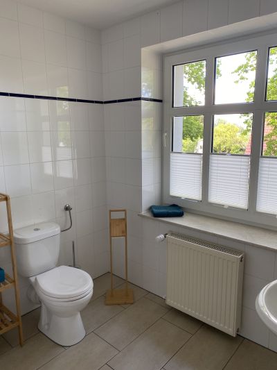 Galeriebild